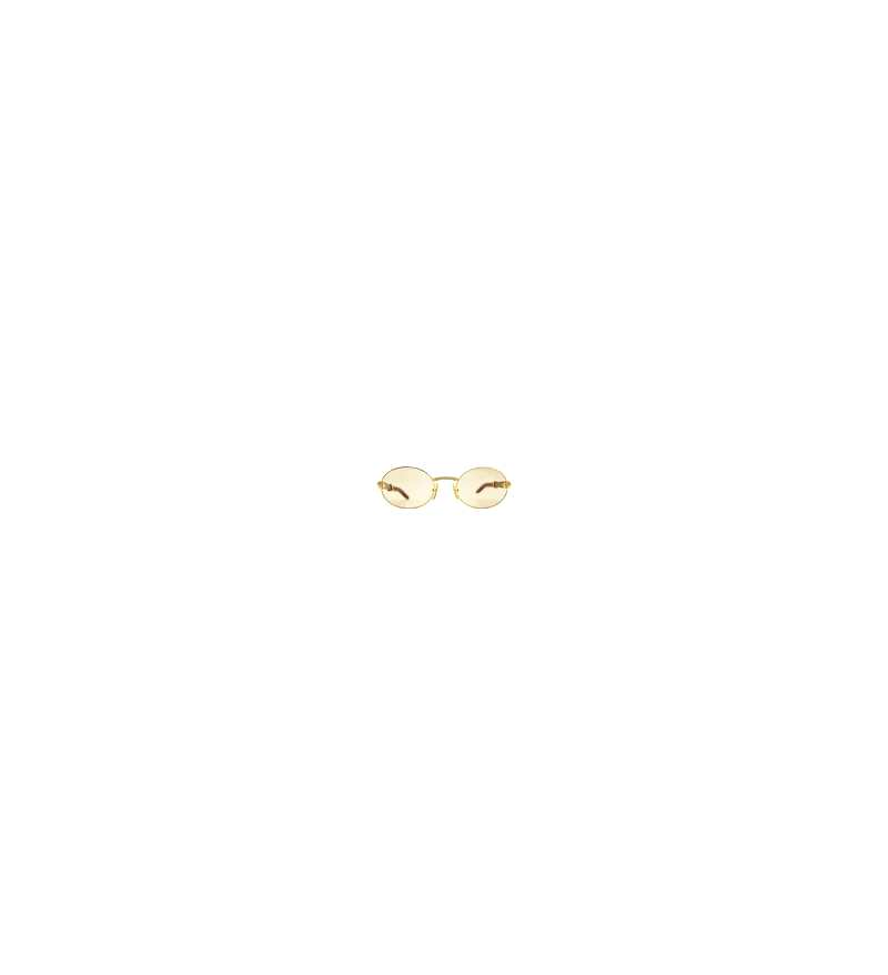 Example Sunglasses 2